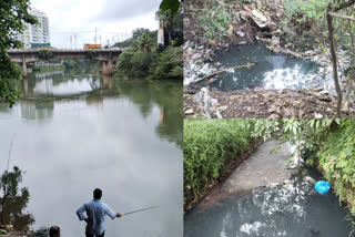 മീനച്ചിലാറ്റിൽ മനുഷ്യ വിസർജ്ജ്യം കലർന്നതായി പഠന റിപ്പോർട്ട്  study report that human excrement in meenachil river  meenachil river  meenachil  human excrement in meenachil river  human excrement  മീനച്ചിലാറ്റിൽ മനുഷ്യ വിസർജ്യം  മനുഷ്യ വിസർജ്യം  മീനച്ചിലാർ  കോട്ടയം  kottayam