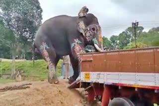 mysore-elephants-went-to-srirangapatna-dussehra