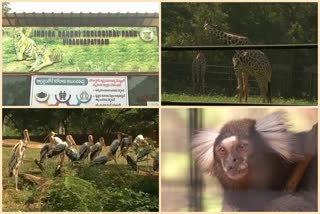 world wild life week at vishakapatnam