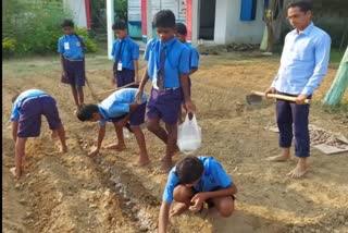 Children cultivate vegetables in Surajpur