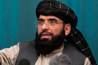 Taliban spokesman Sohail Shaheen