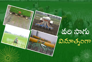 innovative-cultivation-practices-of-pranadhara-trust-in-rice