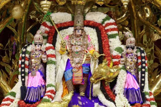 kalpavruksha-vahana-seva-at-tirumala