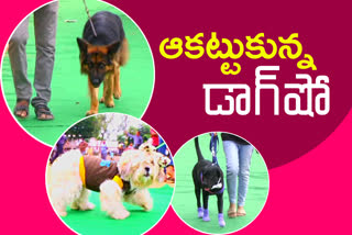 dog-show-in-mahabubnagar