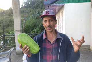 Retired army officer Netram Sharma promoting natural farming in Karsog