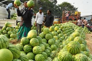تلنگانہ: پھلوں کے تاجروں کو سہولیات فراہم کرنے کے لیے حکومت وعدہ بند: وزیر زراعت