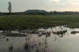 ಕಲಬುರಗಿ ಜಿಲ್ಲೆಯಲ್ಲಿ ಬೆಳೆ ಹಾನಿ ಸಮೀಕ್ಷೆ ವಿಳಂಬ