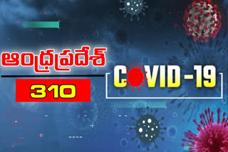 రాష్ట్రంలో కొత్తగా 310 కరోనా కేసులు