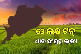 ରାଜ୍ୟ କ୍ୟାବିନେଟର ବଡ ନିଷ୍ପତ୍ତି: ଖରିଫରେ 63 ଲକ୍ଷ ଟନ୍‍ ଧାନ ସଂଗ୍ରହର ଲକ୍ଷ୍ୟ ରଖିଛି ଓଡିଶା