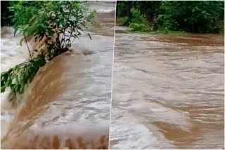 ആറളം വനം  ജാഗ്രത നിര്‍ദേശം  പുഴയിൽ ജലനിരപ്പ്  Aaralam forest  Landslide Aaralam forest  warning instruction  increased water level