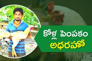 Poultry Farming