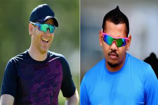 morgan, narine