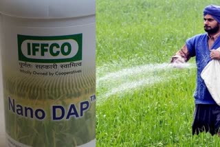 now the shortage of fertilizer will end with new invention nano dap