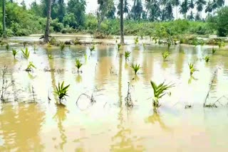 heavy-rain-in-davanagere