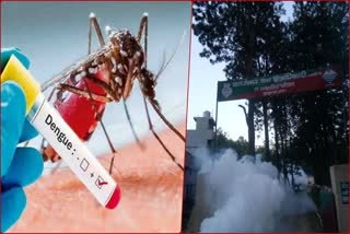 dengue-outbreak-in-uttarakhand