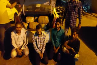 ganja smugglers arrested