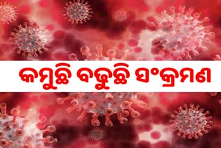 STATE CORONA: ଦିନକରେ ୫୨୧ ପଜିଟିଭ ଚିହ୍ନଟ, ୬୫ ଶିଶୁ ଆକ୍ରାନ୍ତSTATE CORONA: ଦିନକରେ ୫୨୧ ପଜିଟିଭ ଚିହ୍ନଟ, ୬୫ ଶିଶୁ ଆକ୍ରାନ୍ତ