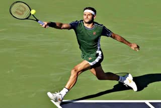 Sports Tennis Indian Wells  Grigor Dimitrov  Daniil Medvedev  दानिल मेदवेदेव  ग्रिगोर दिमित्रोव  इंडियन वेल्स