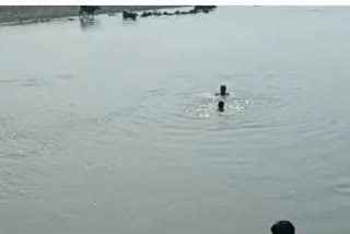 कासगंज में पानी में गिरे बच्चे को बचाने में मजार पर चादर चढ़ाने आए 3 लोग डूबे, जानें क्या है मामला