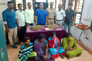 kasimedu cannabis selling gang trapped by chennai cops