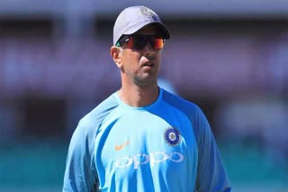 Rahul dravid can be an interim coach for india vs newzealand