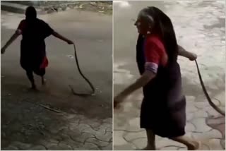 video of grandmother and dangerous cobra