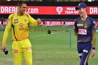 IPL Final: CSK vs KKR, match preview