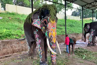 Mysore Dasara