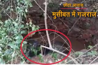 elephant struggle in Latehar to get out from well in  PTR area baby elephant fell in Chhipahodar area well
