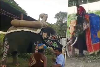 Elephants are getting ready for jamboo savari