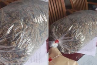 8 kg of cannabis found abandoned near Tirur railway station  cannabis found  Tirur railway station  cannabis found abandoned  cannabis found abandoned near Tirur railway station  തിരൂർ റെയിൽവേ സ്റ്റേഷൻ  കഞ്ചാവ് ഉപേക്ഷിച്ച നിലയിൽ  തിരൂർ റെയിൽവേ സ്റ്റേഷൻ പരിസരത്ത് കഞ്ചാവ് ഉപേക്ഷിച്ച നിലയിൽ  എക്സൈസ്