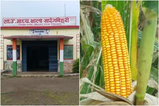 farming in school