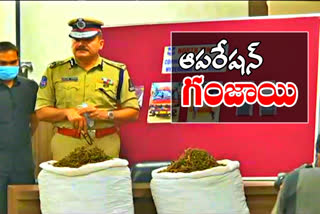 ganja smugling: గంజాయి విక్రయాలపై పోలీసుల ఉక్కుపాదం.. ఓ ముఠా అరెస్ట్​..