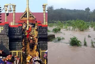 Heavy rain in kerala  Heavy rain in pathanamthitta  rain pathanamthitta  red alert in pathanamthitta  kakki anathodu dam  നാശം വിതച്ച് മഴ  കേരളം മഴ  കനത്ത മഴ  ശബരിമല  ശബരിമല തീര്‍ഥാടകര്‍ക്ക് ജാഗ്രത നിർദേശം  പത്തനംതിട്ട മഴ