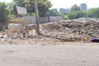 delhi deoli assembly road garbage problem