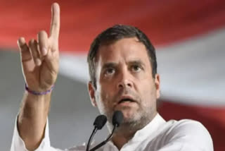 Congress Working Committee  Rahul Gandhi  Working President for Congress  രാഹുല്‍ ഗാന്ധി  രാഹുല്‍ ഗാന്ധി വാര്‍ത്ത  രാഹുല്‍ ഗാന്ധി കോണ്‍ഗ്രസ് അധ്യക്ഷന്‍ വാര്‍ത്ത  രാഹുല്‍ ഗാന്ധി കോണ്‍ഗ്രസ് അധ്യക്ഷന്‍  രാഹുല്‍ ഗാന്ധി കോണ്‍ഗ്രസ് അധ്യക്ഷ സ്ഥാനം  രാഹുല്‍ ഗാന്ധി കോണ്‍ഗ്രസ് അധ്യക്ഷ സ്ഥാനം വാര്‍ത്ത  രാഹുല്‍ കോണ്‍ഗ്രസ് അധ്യക്ഷന്‍ വാര്‍ത്ത  രാഹുല്‍ കോണ്‍ഗ്രസ് അധ്യക്ഷന്‍  കെസി വേണുഗോപാല്‍  കെസി വേണുഗോപാല്‍ വാര്‍ത്ത  കോണ്‍ഗ്രസ് പ്രവര്‍ത്തക സമിതി യോഗം വാര്‍ത്ത  കോണ്‍ഗ്രസ് പ്രവര്‍ത്തക സമിതി യോഗം  സോണിയ ഗാന്ധി വാര്‍ത്ത  സോണിയ ഗാന്ധി  ദേവേന്ദ്ര യാദവ്  ദേവേന്ദ്ര യാദവ് വാര്‍ത്ത  ജി23 നേതാക്കള്‍ വാര്‍ത്ത  ജി23 നേതാക്കള്‍  ഗുലാം നബി ആസാദ്  ഗുലാം നബി ആസാദ് വാര്‍ത്ത  മാണിക്കം ടാഗോര്‍  മാണിക്കം ടാഗോര്‍ വാര്‍ത്ത  മുഴുവന്‍ സമയ അധ്യക്ഷന്‍ വാര്‍ത്ത  രാഹുല്‍ മുഴുവന്‍ സമയ അധ്യക്ഷന്‍ വാര്‍ത്ത  രാഹുല്‍ മുഴുവന്‍ സമയ അധ്യക്ഷന്‍  രാഹുല്‍ കോണ്‍ഗ്രസ് വര്‍ക്കിങ് പ്രസിഡന്‍റ് വാര്‍ത്ത  രാഹുല്‍ കോണ്‍ഗ്രസ് വര്‍ക്കിങ് പ്രസിഡന്‍റ്  സംഘടന തെരഞ്ഞെടുപ്പ്  കോണ്‍ഗ്രസ് സംഘടന തെരഞ്ഞെടുപ്പ്  കോണ്‍ഗ്രസ് സംഘടന തെരഞ്ഞെടുപ്പ് വാര്‍ത്ത  സോണിയ ഗാന്ധി ഇടക്കാല അധ്യക്ഷ വാര്‍ത്ത  കോണ്‍ഗ്രസ് അധ്യക്ഷന്‍ വാര്‍ത്ത