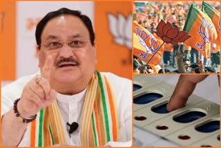 many-workers-of-bjp-left-party-before-by-election-in-home-state-of-jp-nadda
