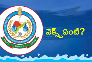 Krishna River Management Board