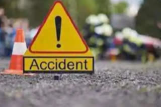 man died in road accident krishna district