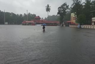 UPPER KUTTNAD  RAINFALL ROUNDUP  kerala RAINFALL ROUNDUP  അപ്പർകുട്ടനാട്  ജലനിരപ്പ് ഉയരുന്നു  KUTTNAD  കുട്ടനാട്