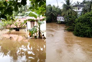 body of a missing person was found in kanjirapally  kanjirapally  kanjirapally body found  കാഞ്ഞിരപ്പള്ളിയിൽ ഒഴുക്കിൽപെട്ട് കാണാതായ ഒരാളുടെ മൃതദേഹം കണ്ടെത്തി  കാഞ്ഞിരപ്പള്ളി  കാഞ്ഞിരപ്പള്ളി മൃതദേഹം കണ്ടെത്തി  കോട്ടയം മരണം  kottayam death