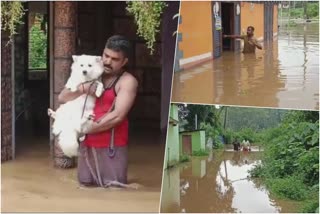 Alappuzha flood  rescue operation  district collector  ആലപ്പുഴയിൽ പലയിടത്തും ജലനിരപ്പ് ഉയരുന്നു  രക്ഷാപ്രവർത്തനം  ദുരിതാശ്വാസ ക്യാമ്പ്  flood