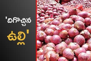 onion prices