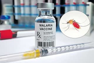 malaria vaccine