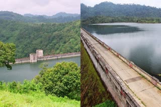 കക്കി-ആനത്തോട് ഡാം  കക്കി ഡാം  ആനത്തോട് ഡാം  ആനത്തോട് ഡാം വാര്‍ത്ത  കക്കി ഡാം വാര്‍ത്ത  കക്കി ഡാം തുറക്കും വാര്‍ത്ത  ആനത്തോട് ഡാം തുറക്കും വാര്‍ത്ത  പമ്പാ തീരം വാര്‍ത്ത  പമ്പാ തീരം ജാഗ്രത നിര്‍ദേശം വാര്‍ത്ത  പമ്പാ തീരം ജാഗ്രത നിര്‍ദേശം  പത്തനംതിട്ട ജില്ല കലക്‌ടര്‍ വാര്‍ത്ത  ദിവ്യ എസ് അയ്യര്‍ വാര്‍ത്ത  പമ്പ ഡാം വാര്‍ത്ത  പത്തനംതിട്ട ജാഗ്രത നിര്‍ദേശം വാര്‍ത്ത  പത്തനംതിട്ട ജാഗ്രത നിര്‍ദേശം  പത്തനംതിട്ട മഴ വാര്‍ത്ത  anathode dam  anathode dam news  kakki dam news  kakki dam  kakki dam to open  anathode dam to open  pamba river  pathanamthitta rain updates