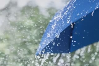 Light to moderate rain expected