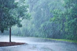 Haryana Rain Alert: rain in many districts of south haryana today