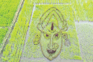 durga maata in fields