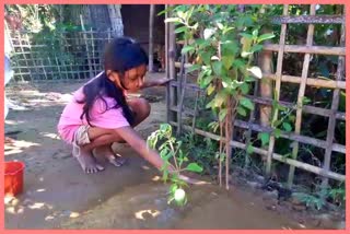 kati-bihu-preparation-at-teok