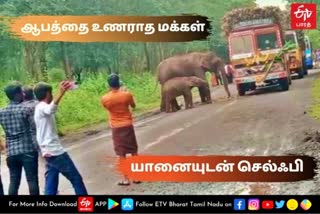 Selfie with an elephant without realizing the danger  Selfie with an elephant  elephant  erode elephant  elephant eating sugarcane  sugarecan  யானையுடன் செல்ஃபி  ஈரோடில் யானையுடன் செல்ஃபி  ஆபத்தை உணராமல் யானையுடன் செல்ஃபி  யானை  செல்ஃபி